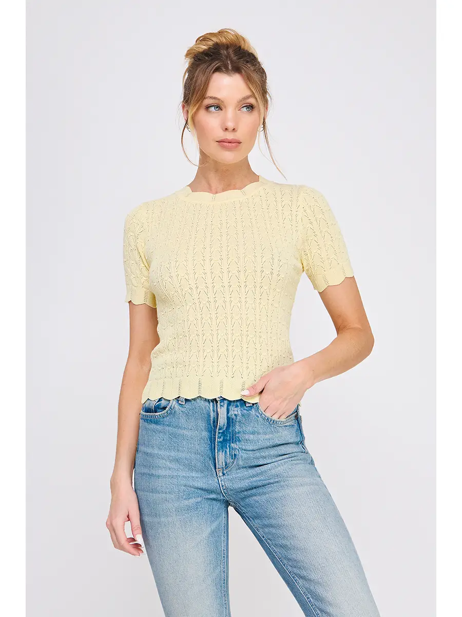 Buttercream Pointelle Knit Top